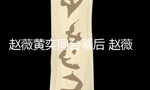 下曾赵薇 赵同台幕后奕加油打气黄奕薇私为黄