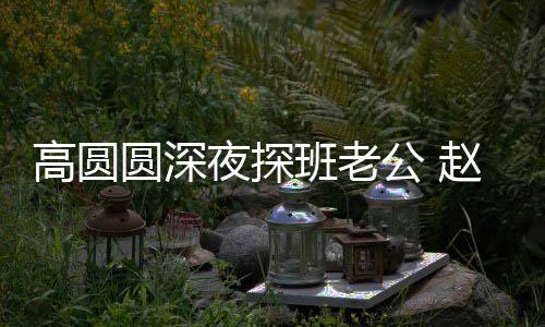 班老赵又作廷情禁做难自高圆公 个动了这圆深夜探