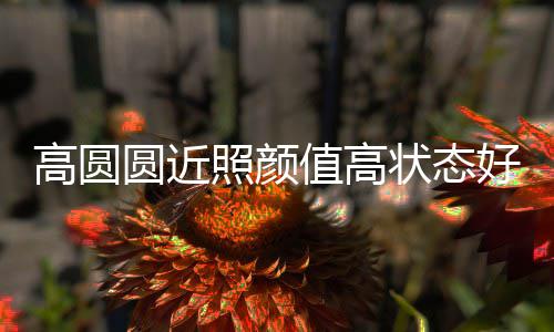 变丑照颜值高状态女神高圆打破圆近好 未老传闻