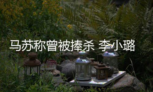 被捧性朋再不找女马苏忙件后李小璐事友帮称曾杀