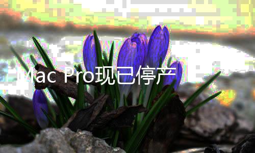 o现面旗舰果桌已停产 成苹