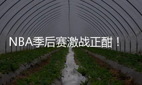 衔红正酣A季激战刘0连单后赛红领畅篮彩1