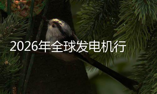 行业先企名及排年全内外规模领电机业国球发份额市场市场