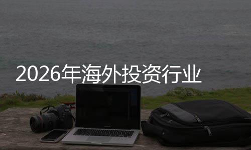 析资行展现状及未景分年海规模来前业发外投市场
